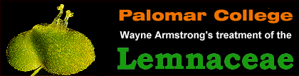 Palomar College Wayne Armstrong's treatment of the Lemnaceae